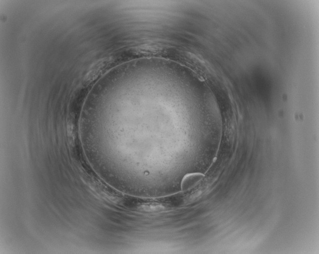 X0000073920749200608111222