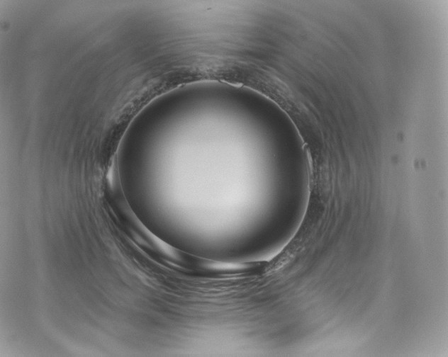 X0000073920750200608111222