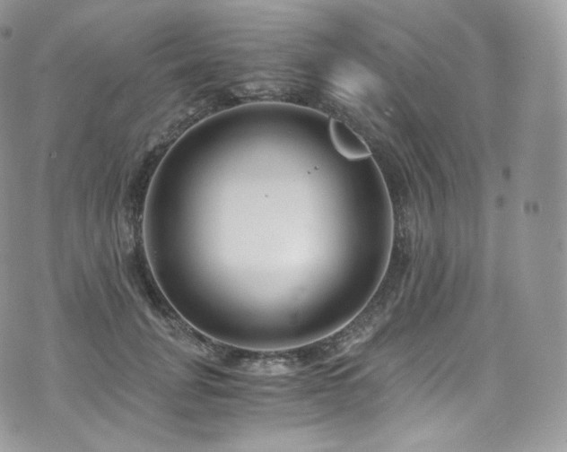 X0000073920751200608111222