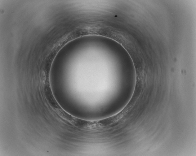 X0000073920752200608111222