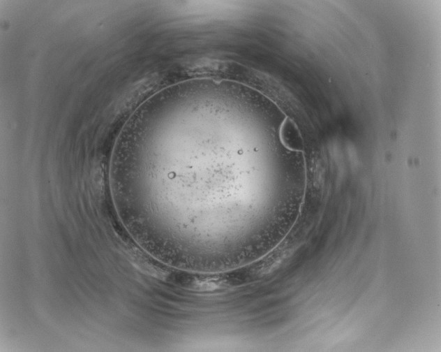 X0000073920753200608111222