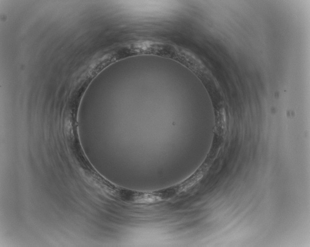 X0000073920754200608111222