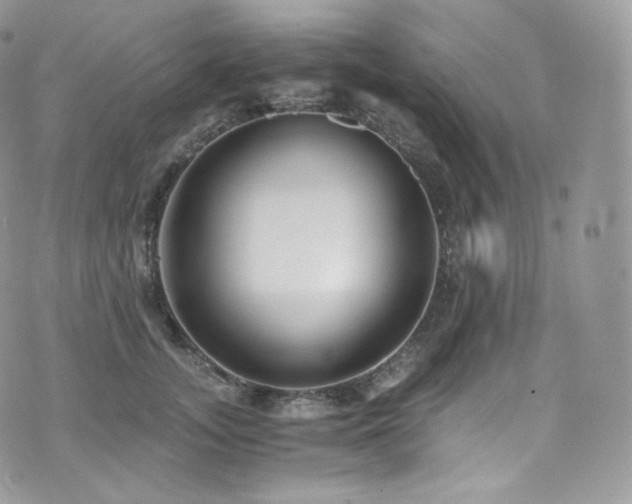 X0000073920755200608111222