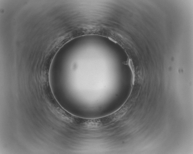 X0000073920756200608111222