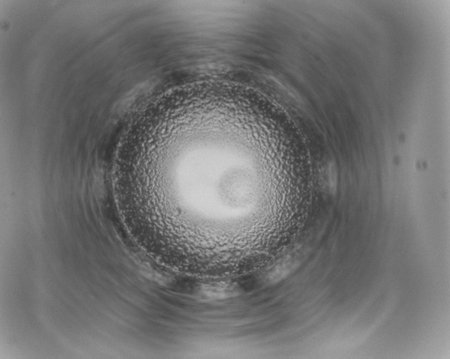 X0000073920757200608111222