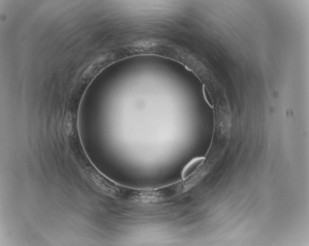 X0000073920758200608111222