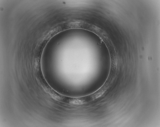 X0000073920759200608111222