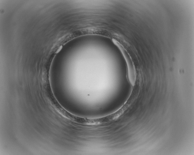 X0000073920760200608111222