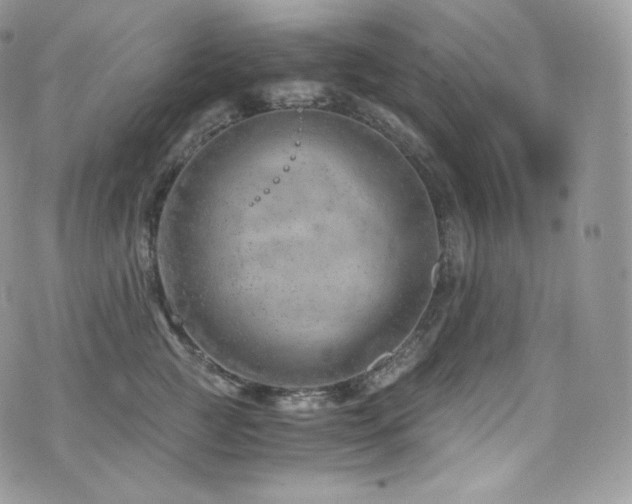 X0000073920761200608111222