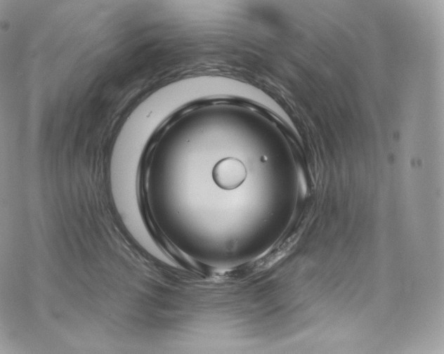 X0000073920762200608111222