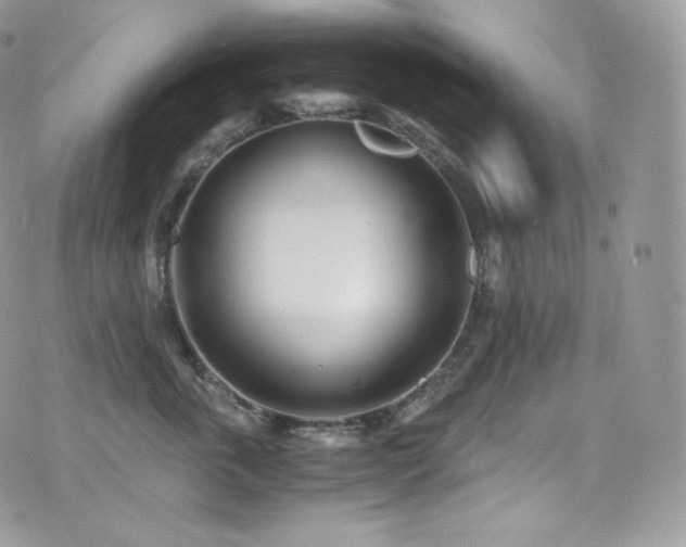 X0000073920763200608111222