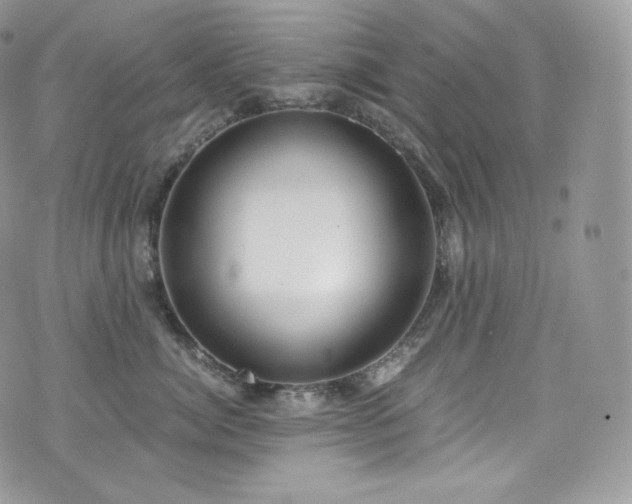 X0000073920764200608111222