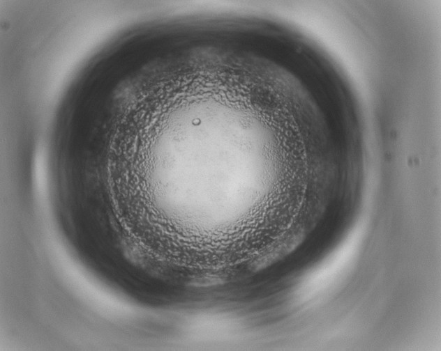 X0000073920765200608111222