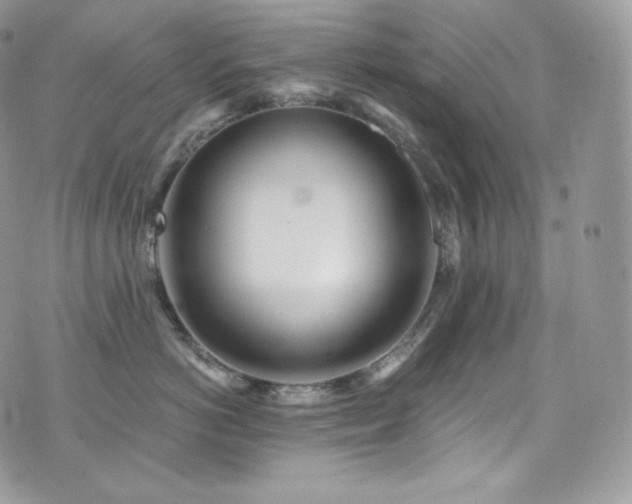 X0000073920766200608111222