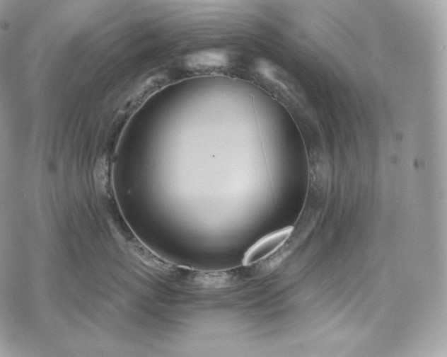 X0000073920767200608111222