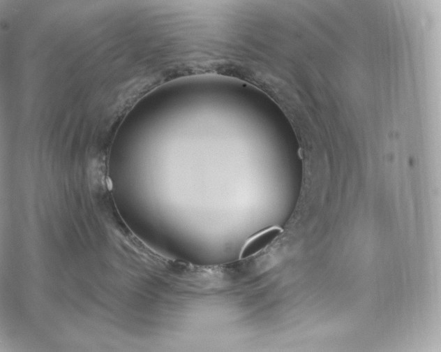 X0000073920768200608111222