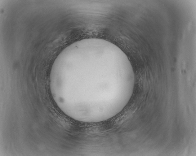 X0000073920769200608111221