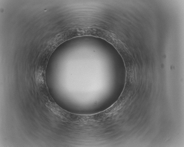 X0000073920770200608111221