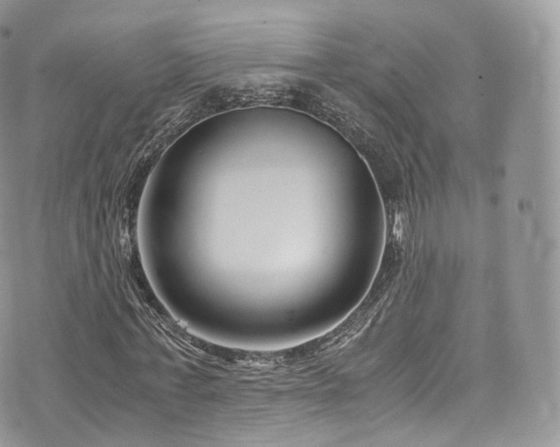 X0000073920771200608111221