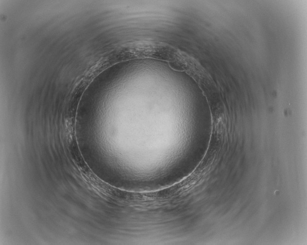 X0000073920772200608111221