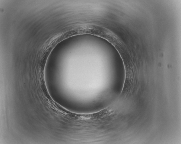 X0000073920773200608111221