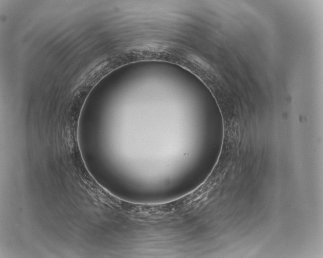 X0000073920774200608111221