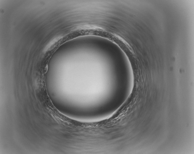 X0000073920775200608111221