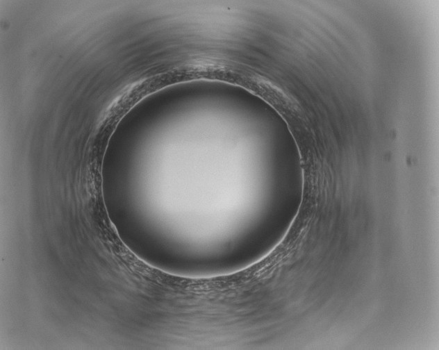 X0000073920776200608111221