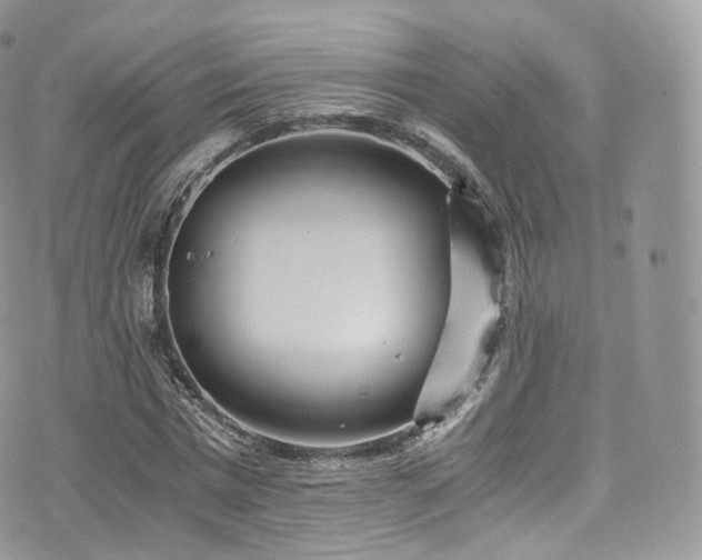 X0000073920777200608111221