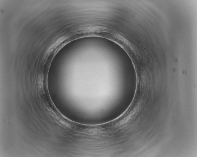 X0000073920778200608111221