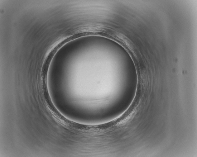 X0000073920779200608111221