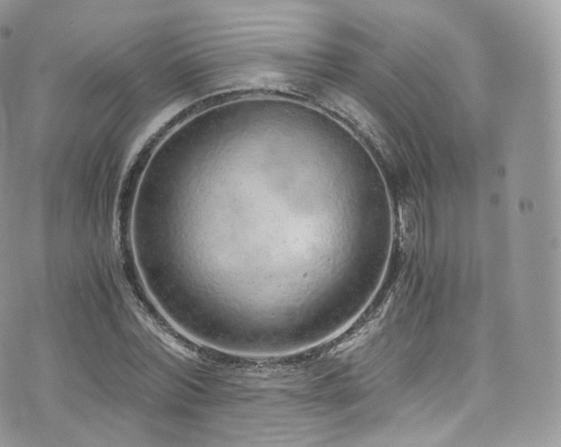 X0000073920780200608111221