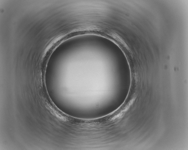 X0000073920781200608111221