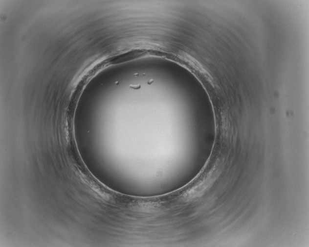 X0000073920782200608111221