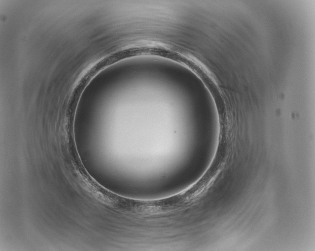 X0000073920783200608111221