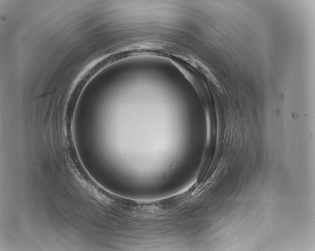 X0000073920784200608111221