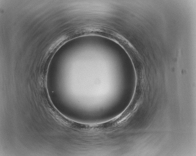 X0000073920785200608111221