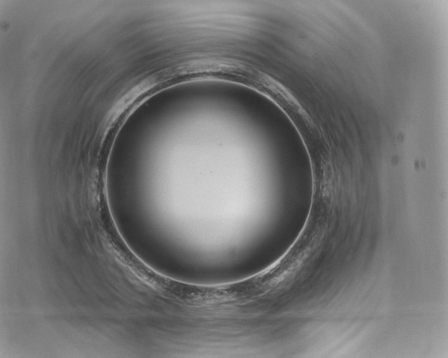 X0000073920786200608111221