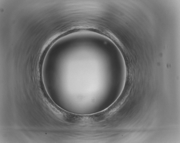 X0000073920787200608111221