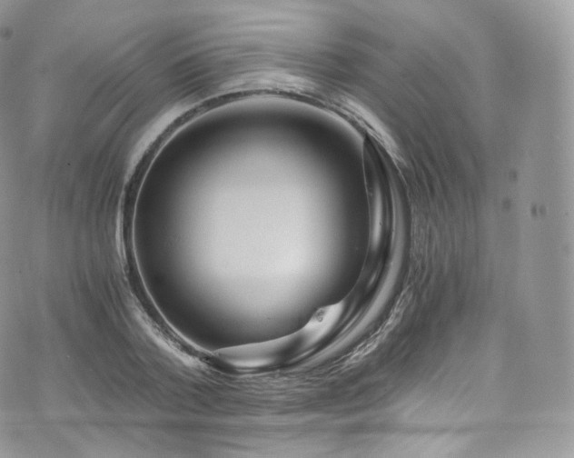 X0000073920788200608111221