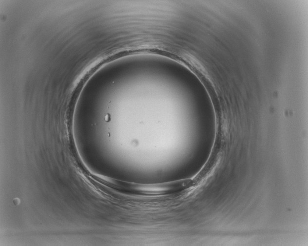 X0000073920789200608111221