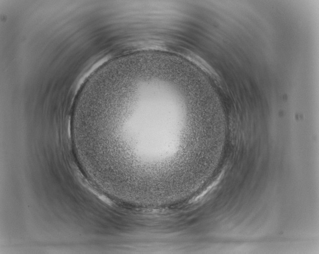 X0000073920790200608111221