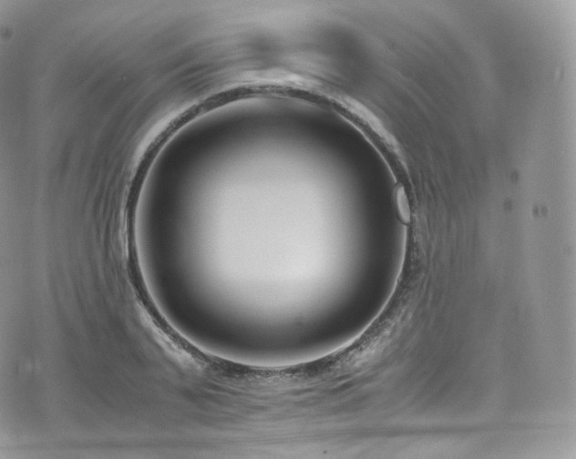 X0000073920791200608111221