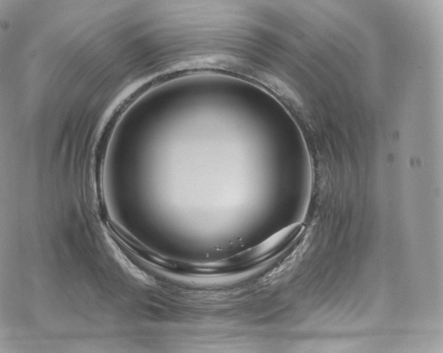 X0000073920792200608111221