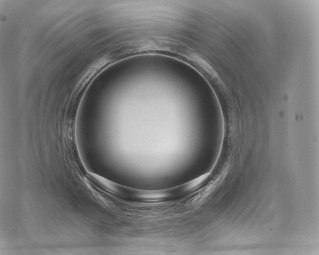 X0000073920793200608111221