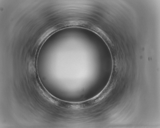 X0000073920794200608111221