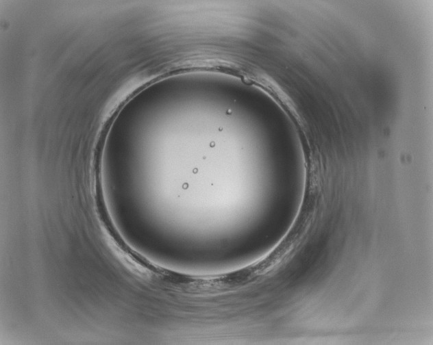 X0000073920795200608111221