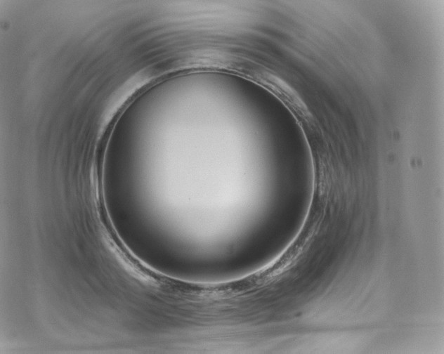 X0000073920796200608111221