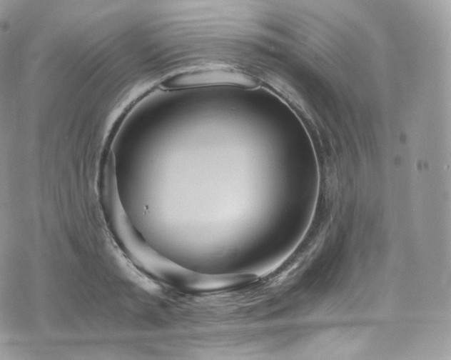 X0000073920797200608111221