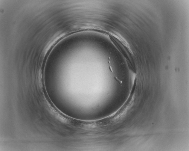 X0000073920798200608111221